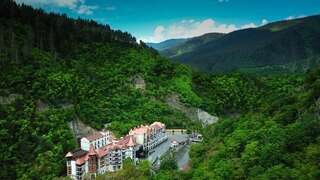 Отель Crowne Plaza - Borjomi Боржоми-0